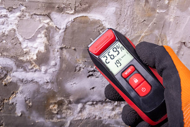 Best Crawl Space Mold Remediation in Hermann, MO