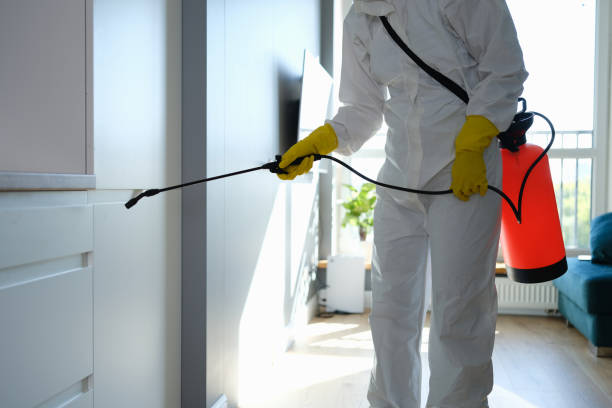 Best Health and Safety Mold Remediation in Hermann, MO